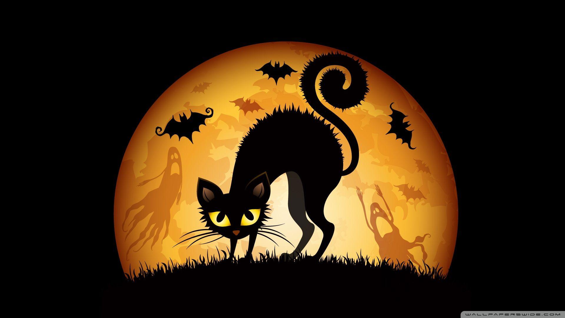 Black Cat Halloween Wallpapers - Top Free Black Cat Halloween ...