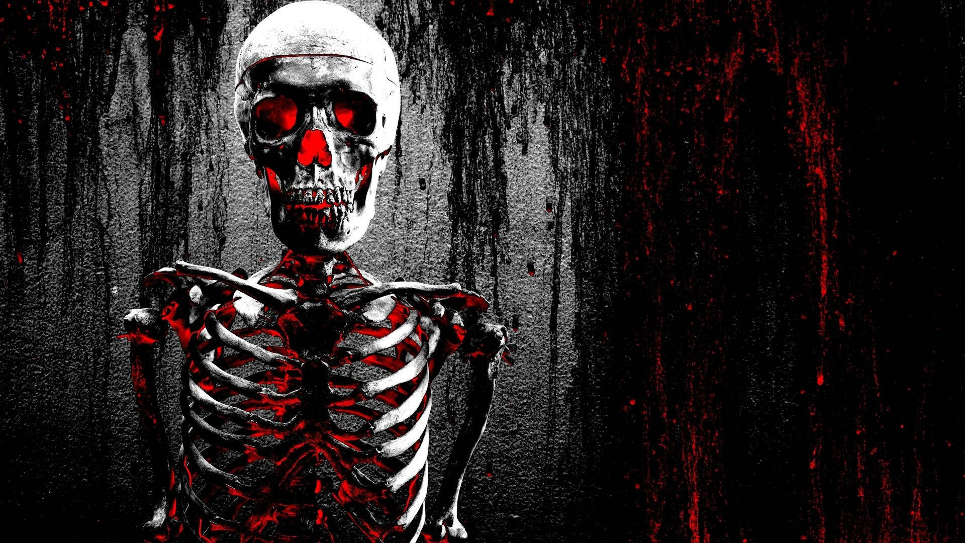 1920x1080 Download Skeleton Wallpaper for FREE