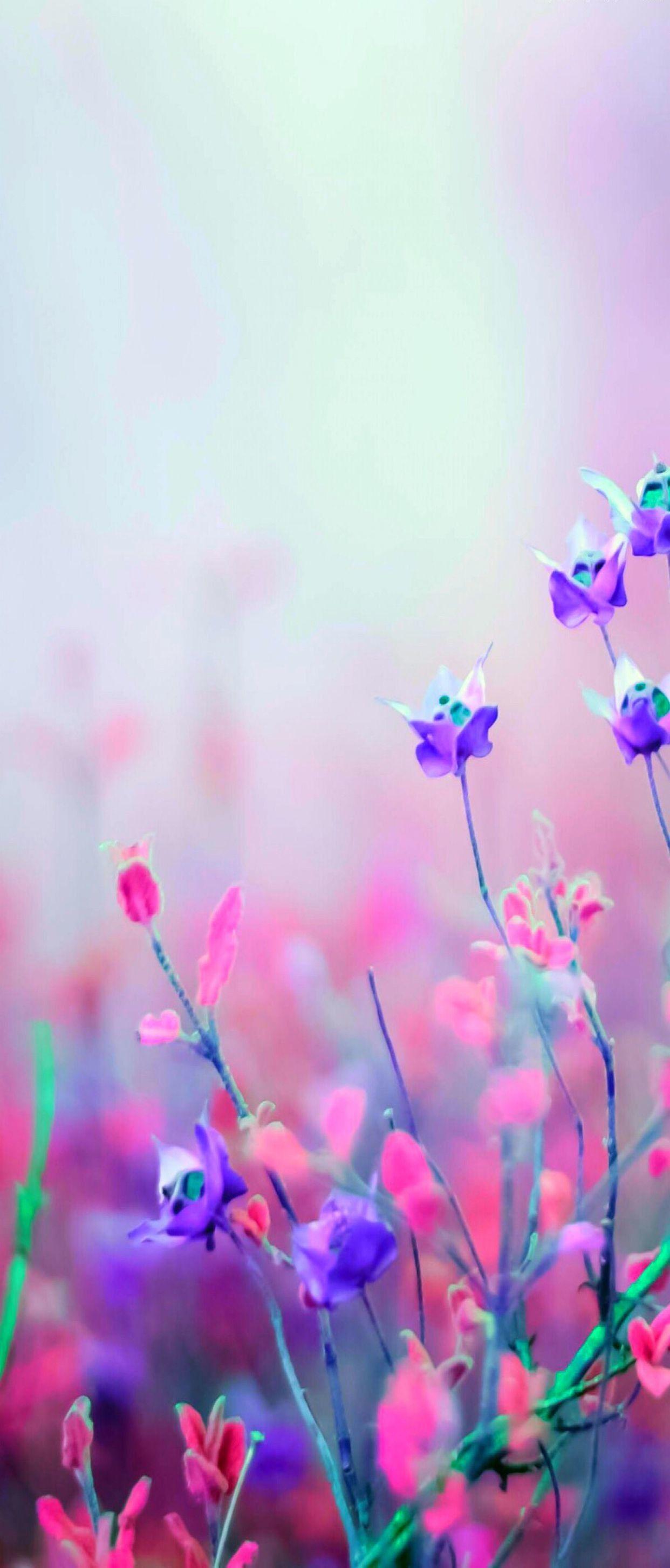 1242x2908 Pink Galaxy Wallpaper