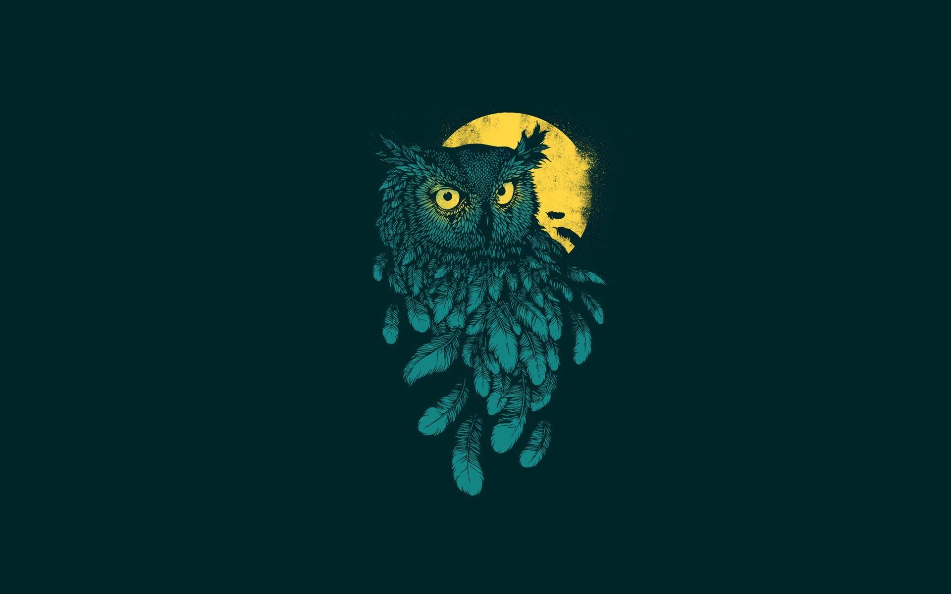 Owl Minimalist Wallpapers - Top Free Owl Minimalist Backgrounds