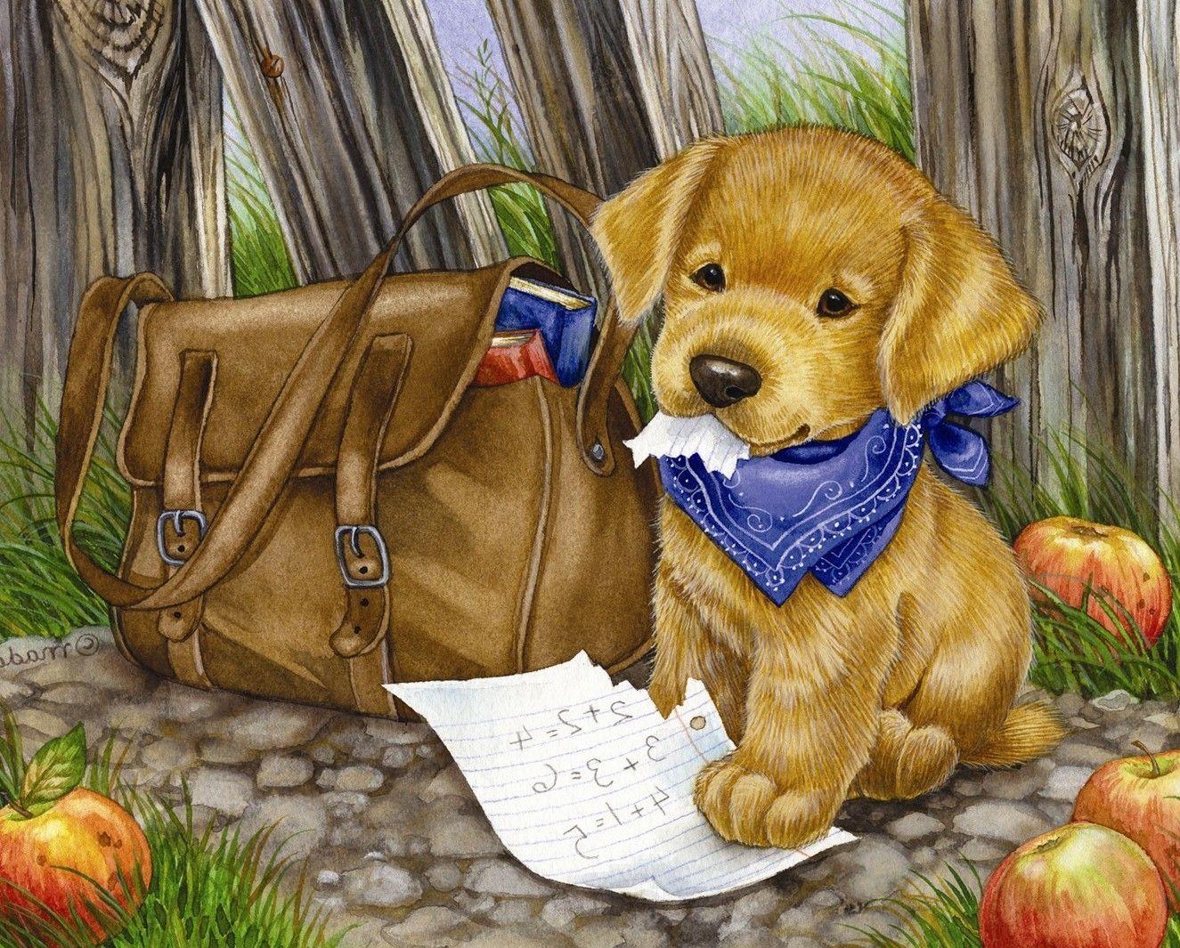1325x1065 Best Friend, Lovely Dog Image, Dog Eye, Download Dog Image