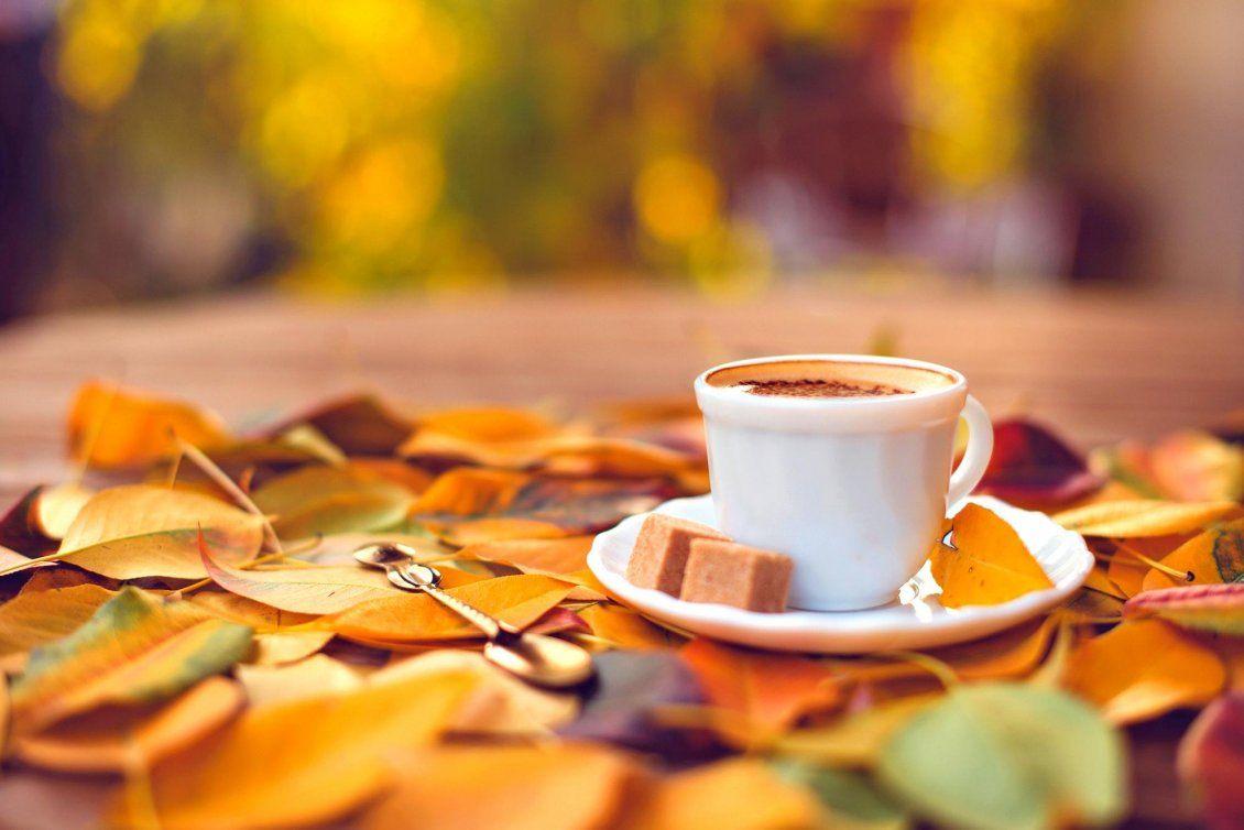 Coffee yellow leaves autumn cozy table vintage Food HD wallpaper   Peakpx