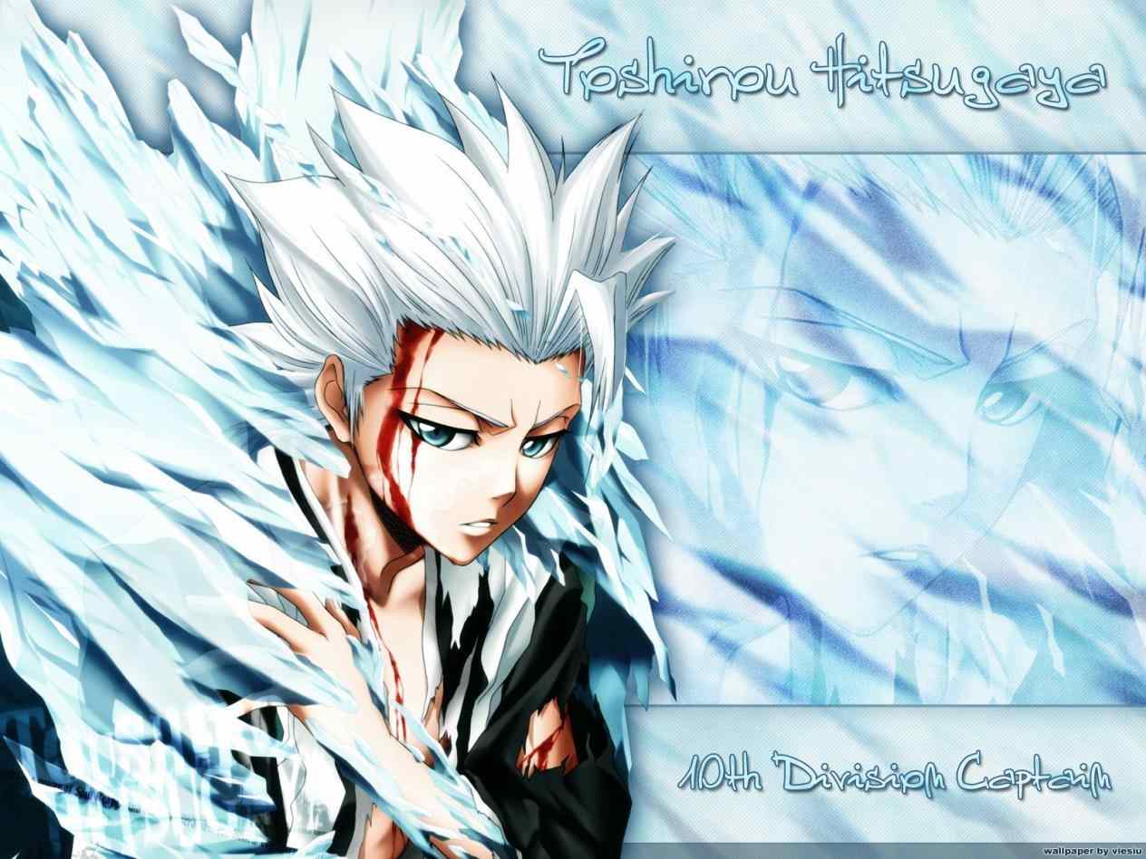1264x948 Forever bleach captain hitsugaya image toshiro HD wallpaper