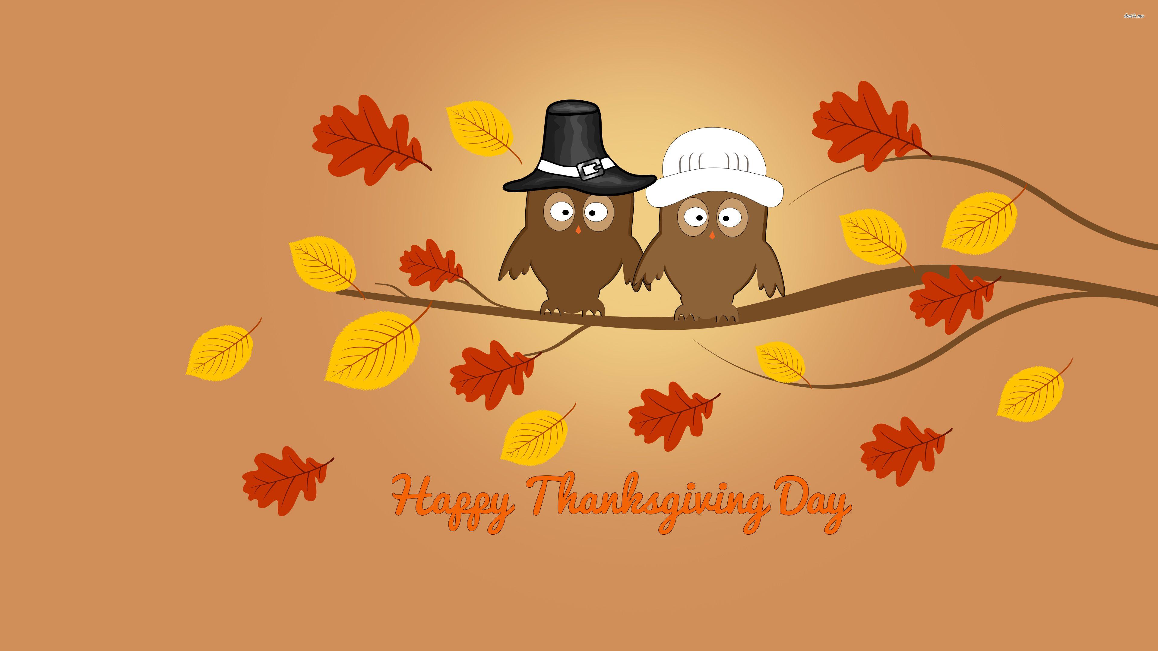 3840x2160 Owls in an autumn tree on Thanksgiving Day wallpaper