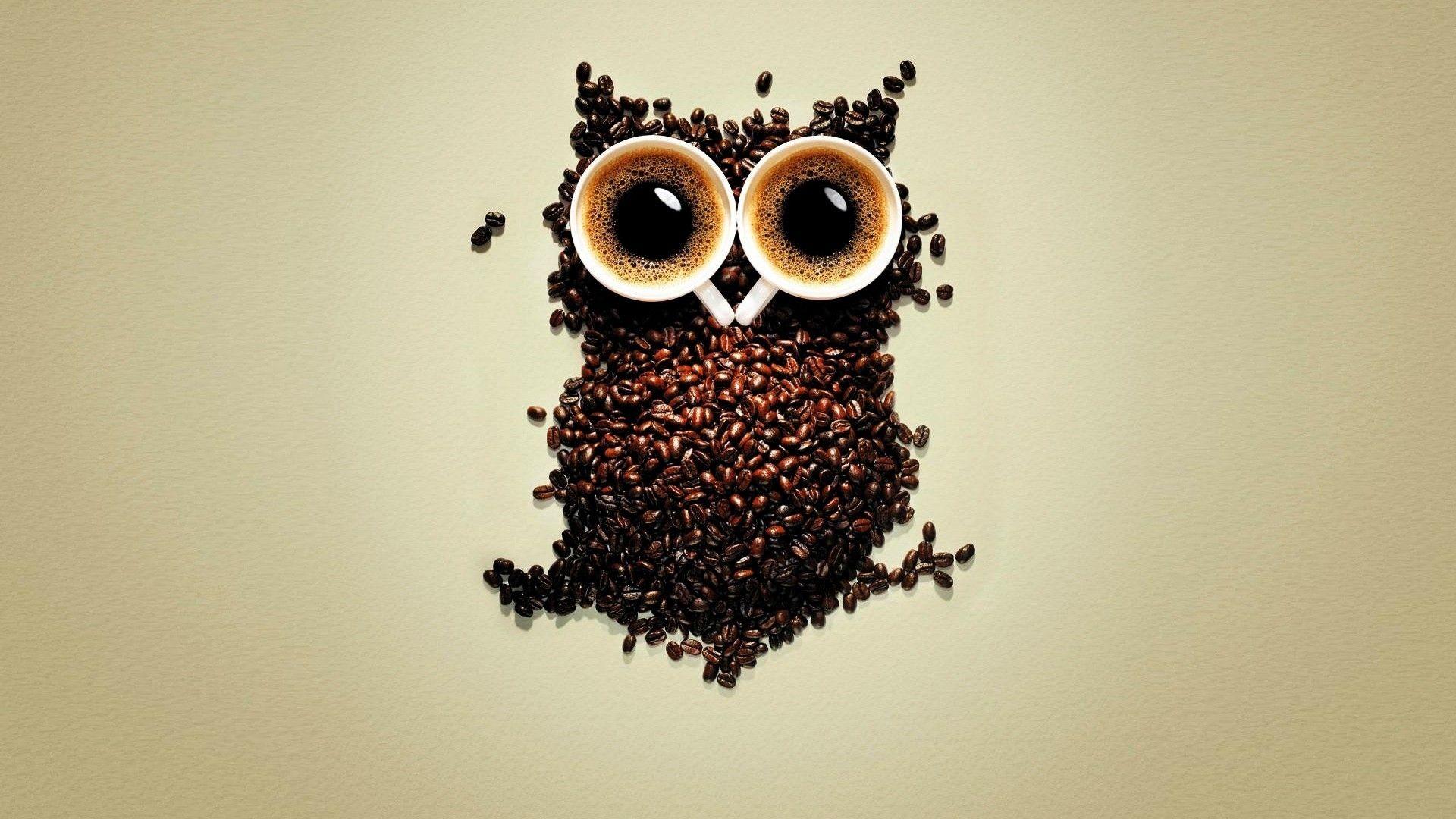 1920x1080 Coffee Beans Owl Art, HD Artist, 4k Wallpaper, Image
