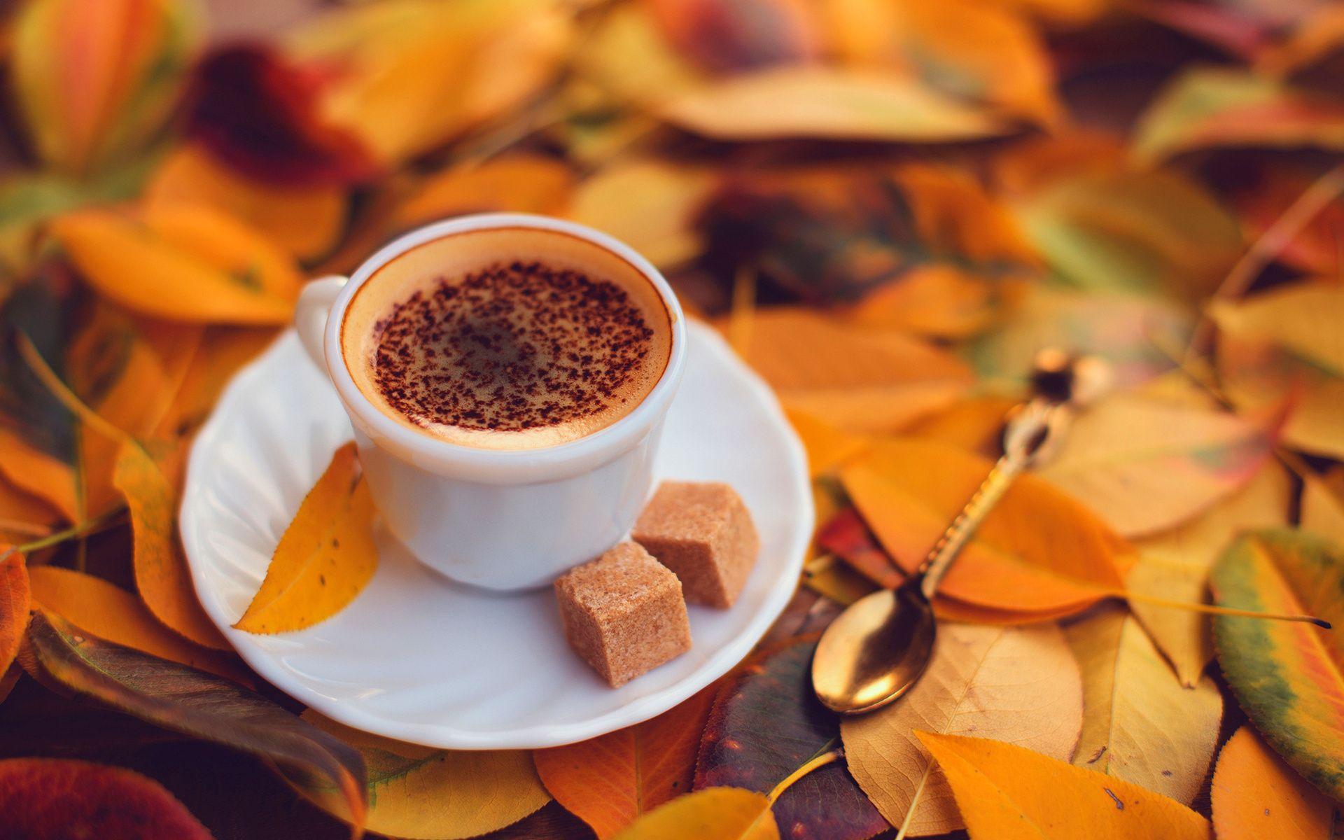 Autumn Coffee Wallpapers - Top Free Autumn Coffee Backgrounds