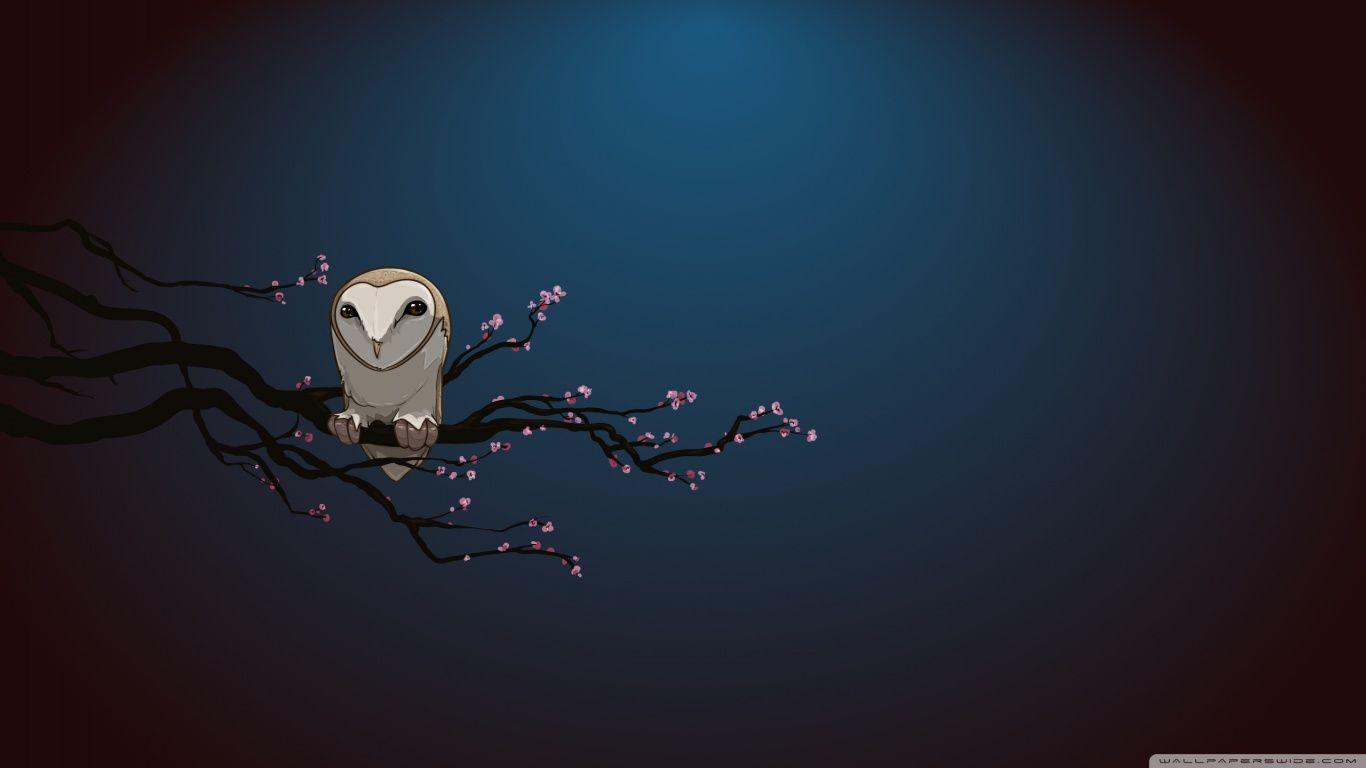 1366x768 free computer background. Wallpaper HD. Owl wallpaper
