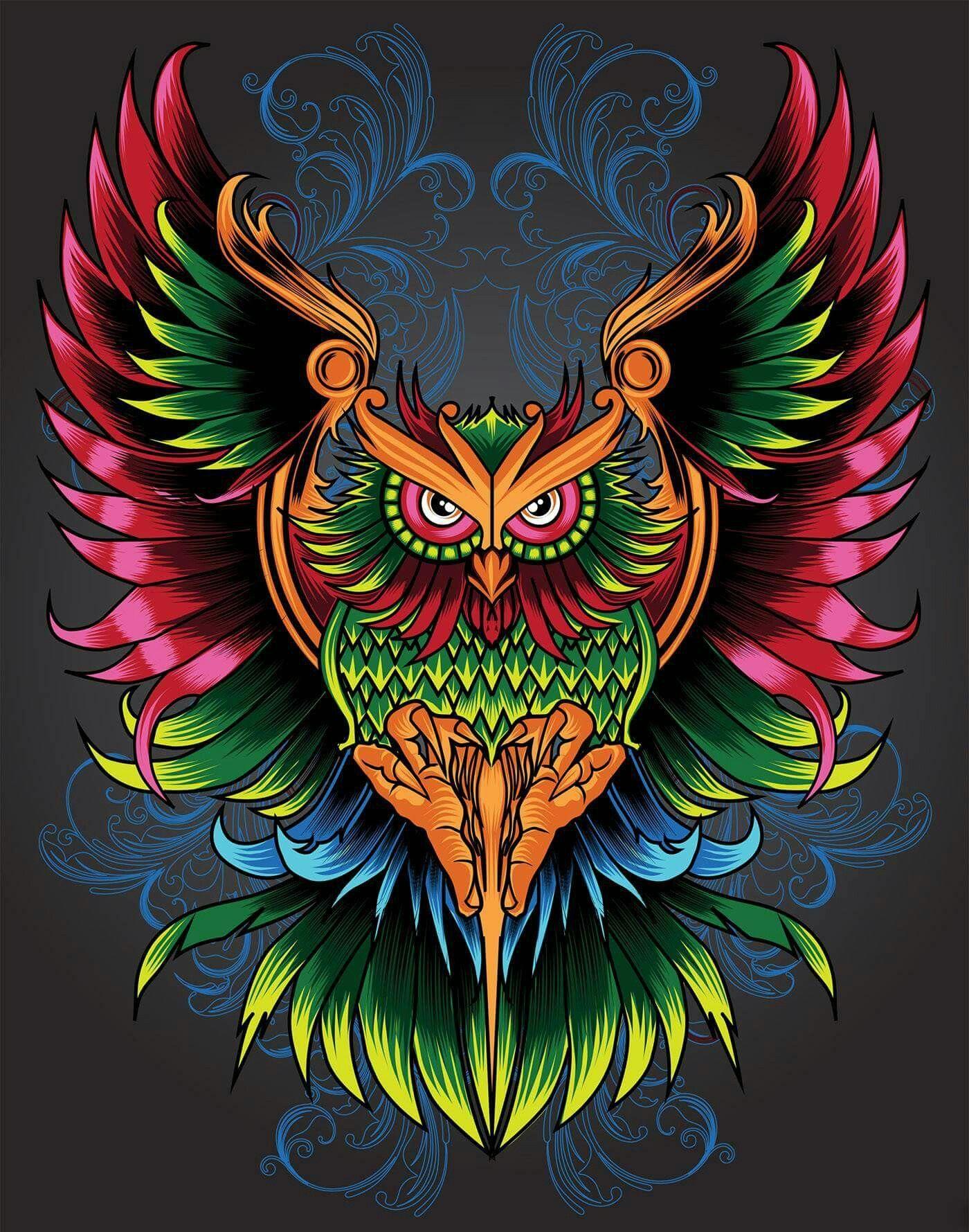 Colorful Owl Wallpapers Top Free Colorful Owl Backgrounds