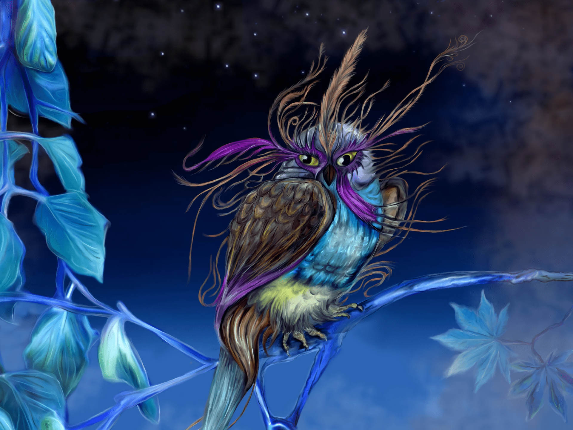 1920x1440 Colorful Owl HD Wallpaper. Background Imagex1440
