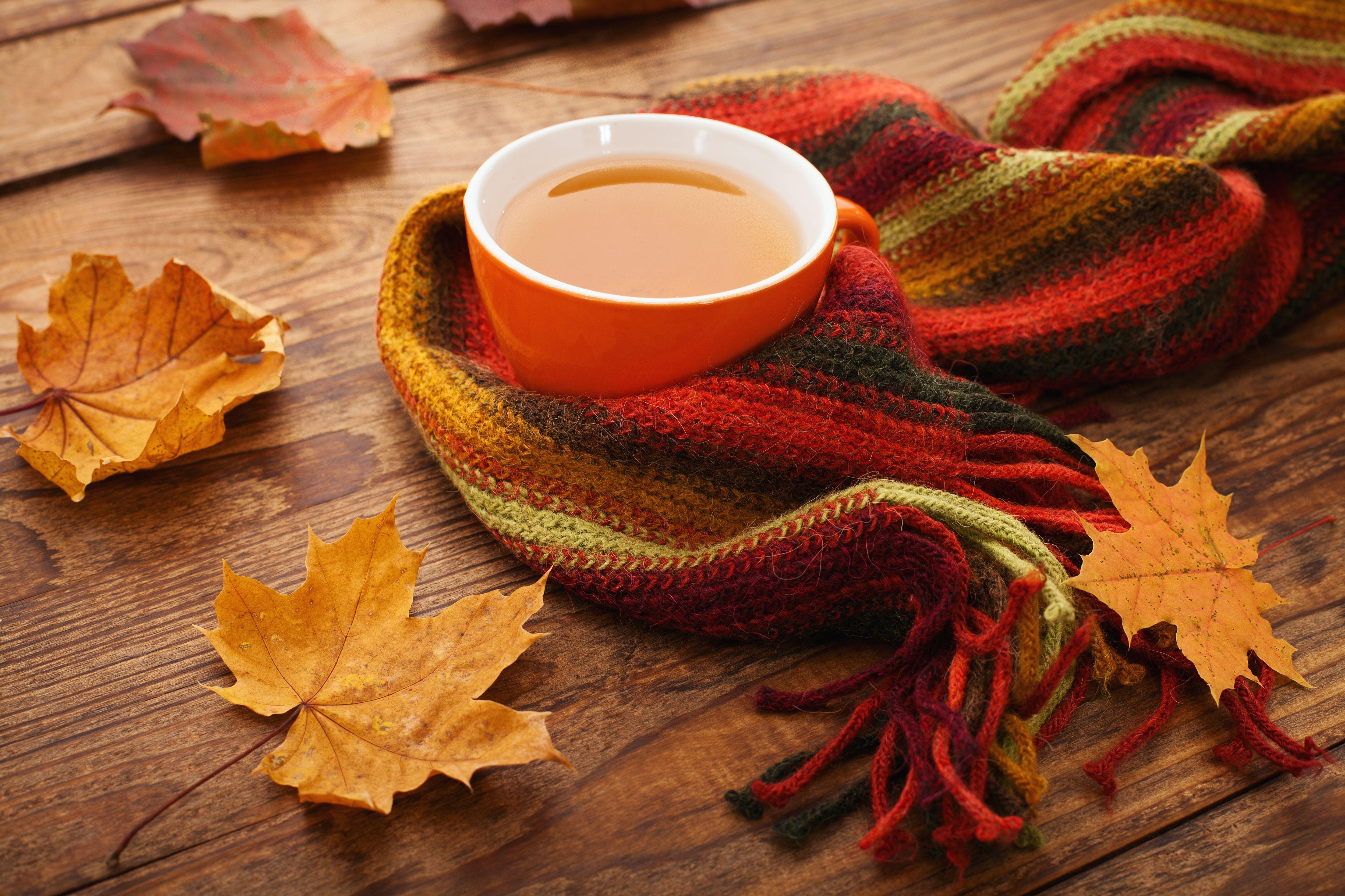 Autumn leaves background colorful scarf wood cup coffee a Cup of  coffee HD wallpaper  Wallpaperbetter