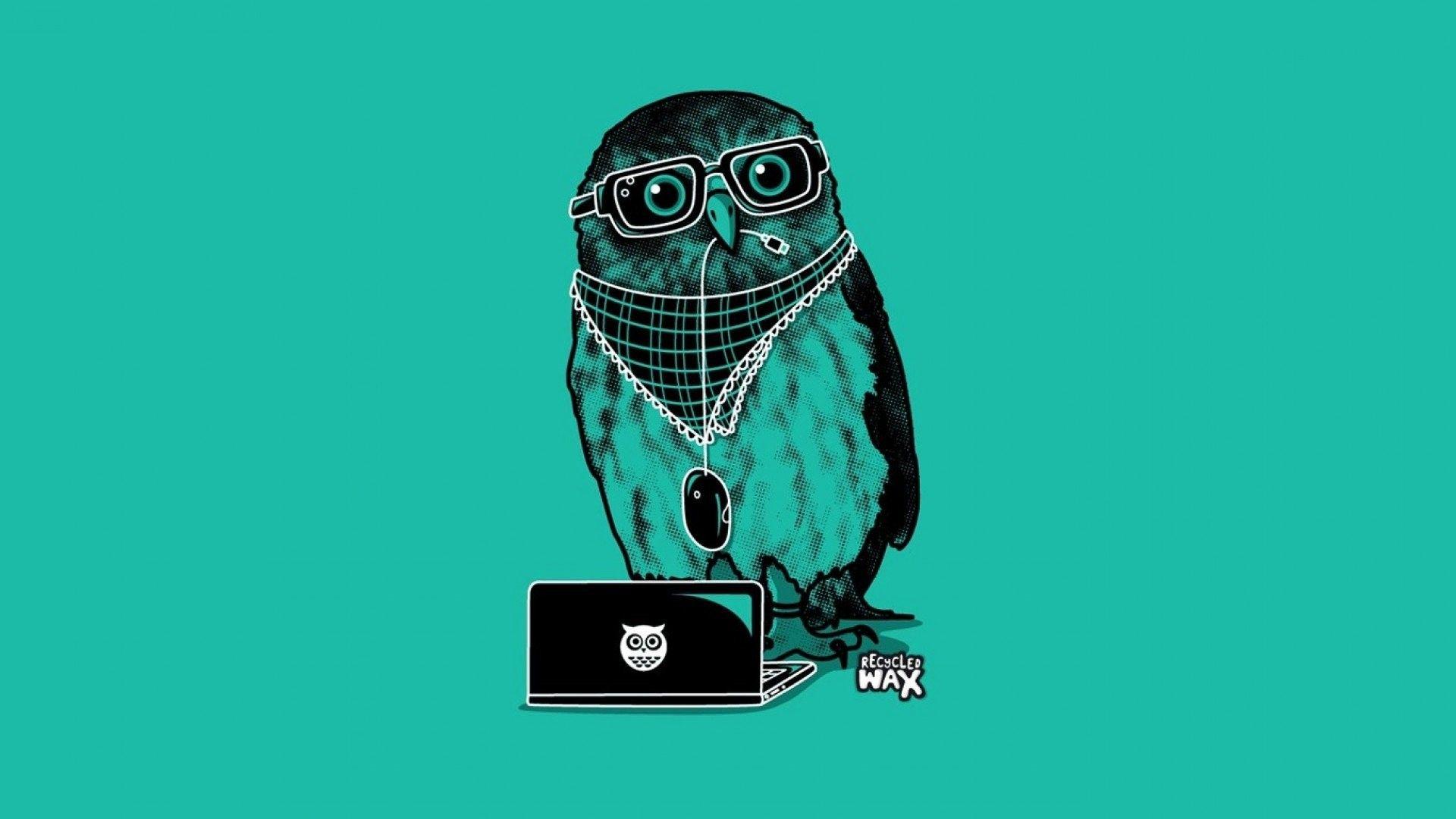 1920x1080 Owl iPhone Wallpaper