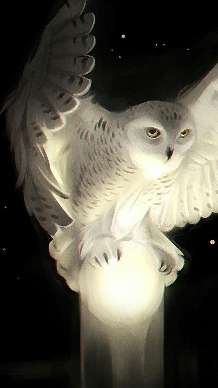 720x1280 mystical snowy owl. tattoos. Owl wallpaper, Owl art, Owl