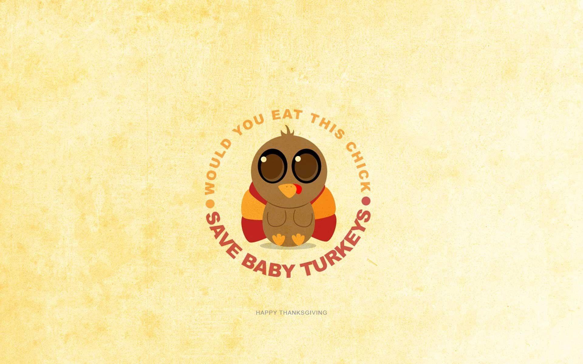 Cute Owl Thanksgiving Wallpapers - Top Free Cute Owl Thanksgiving