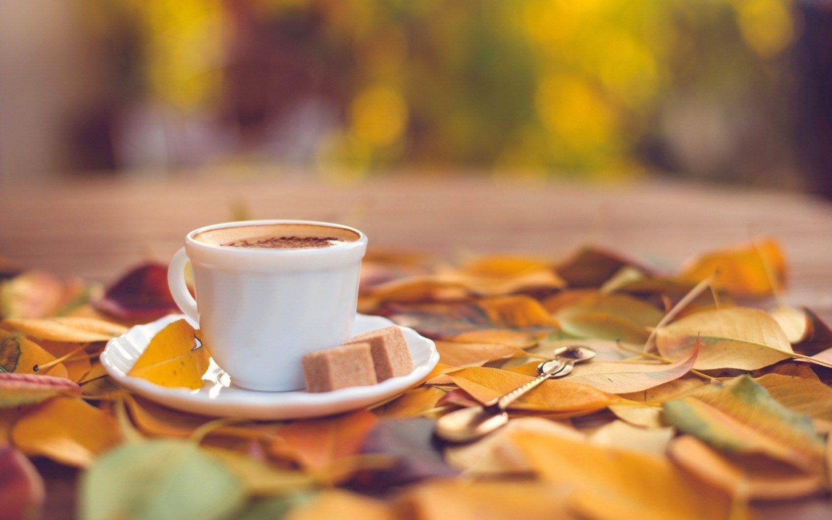 Autumn Coffee Wallpapers - Top Free Autumn Coffee Backgrounds