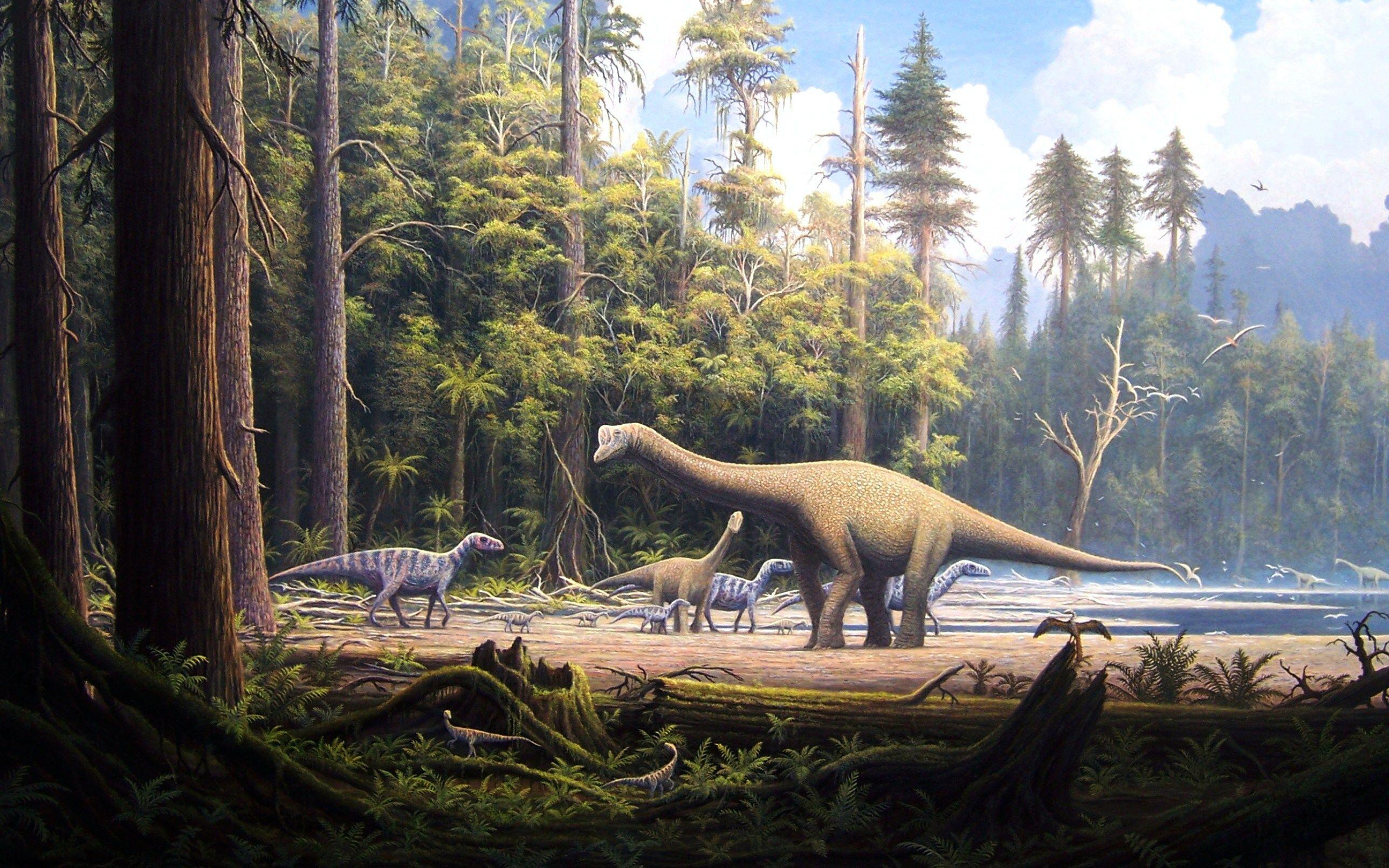 2576x1610 Dinosaurs Wallpaper Dinosaur HD