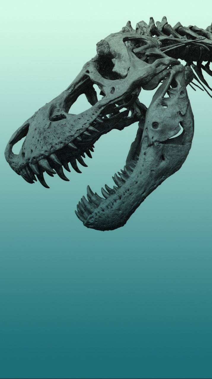 Dinosaur Fossil Wallpaper Pattern Repetitive Pattern Stock Illustration  2090258134  Shutterstock