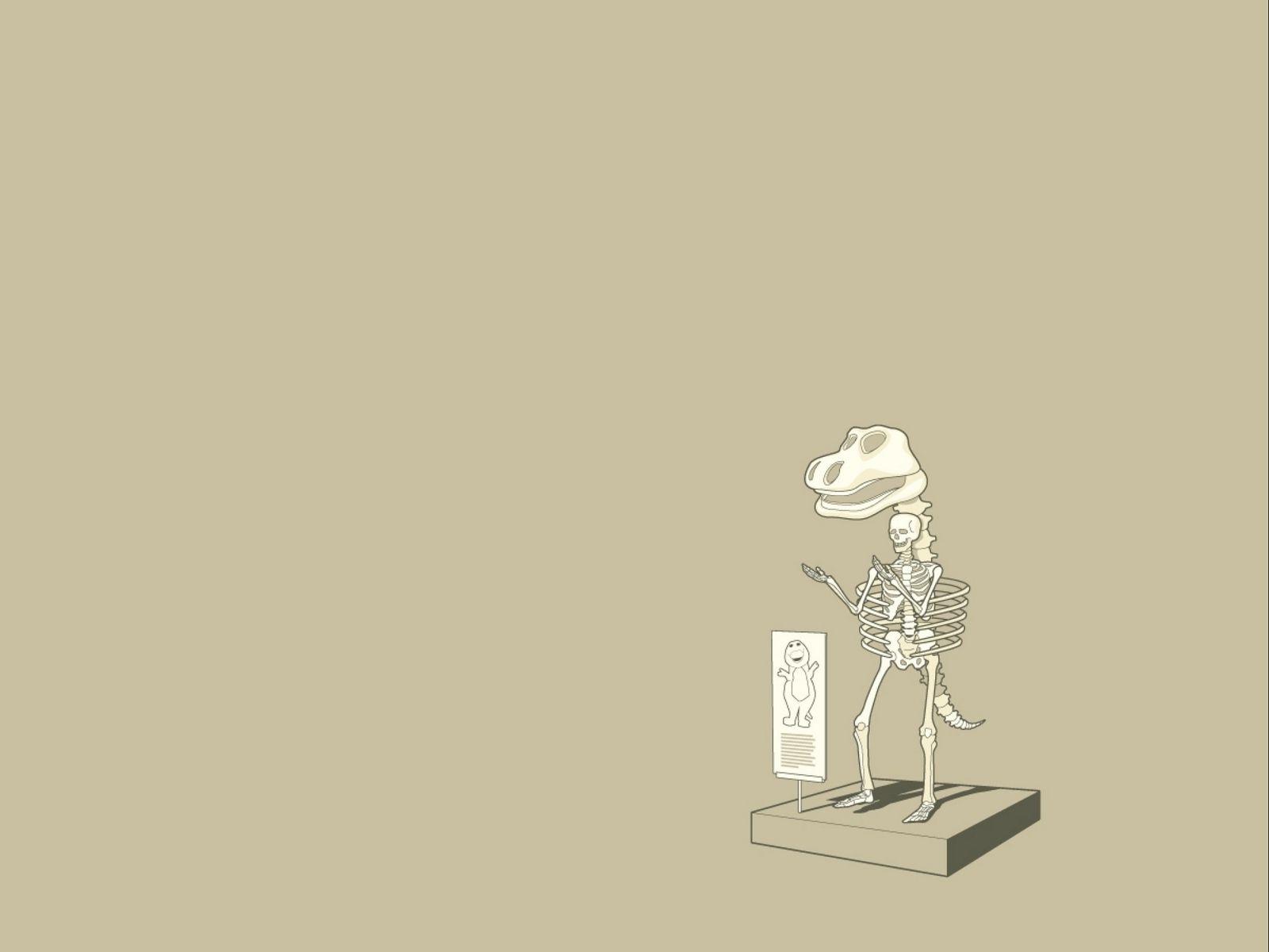 1600x1200 Download wallpaper 1600x1200 dinosaur, skeleton, finding
