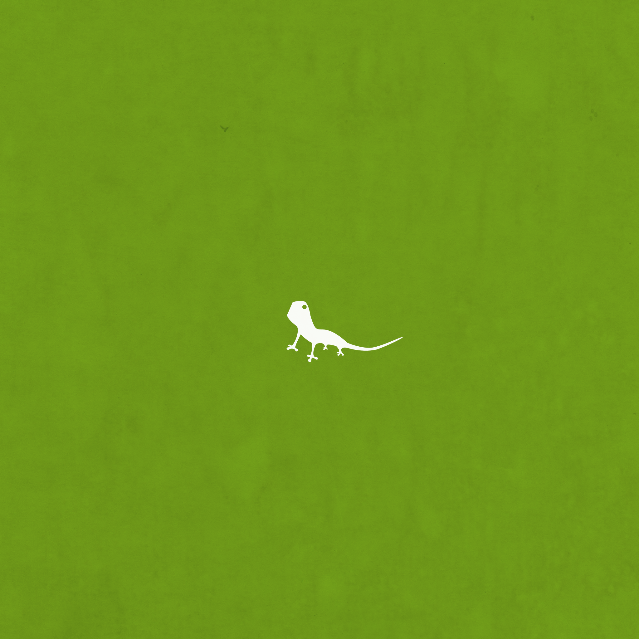 2048x2048 Some Visual Lizard iPad Wallpaper
