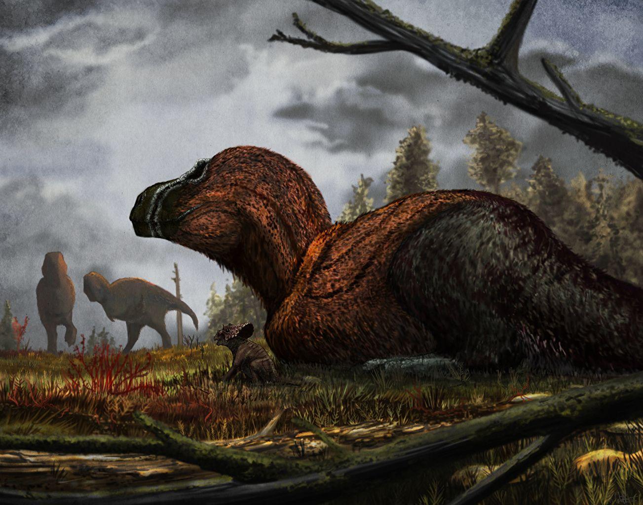 1303x1024 Photos Triceratops Dinosaurs Animals Ancient animals