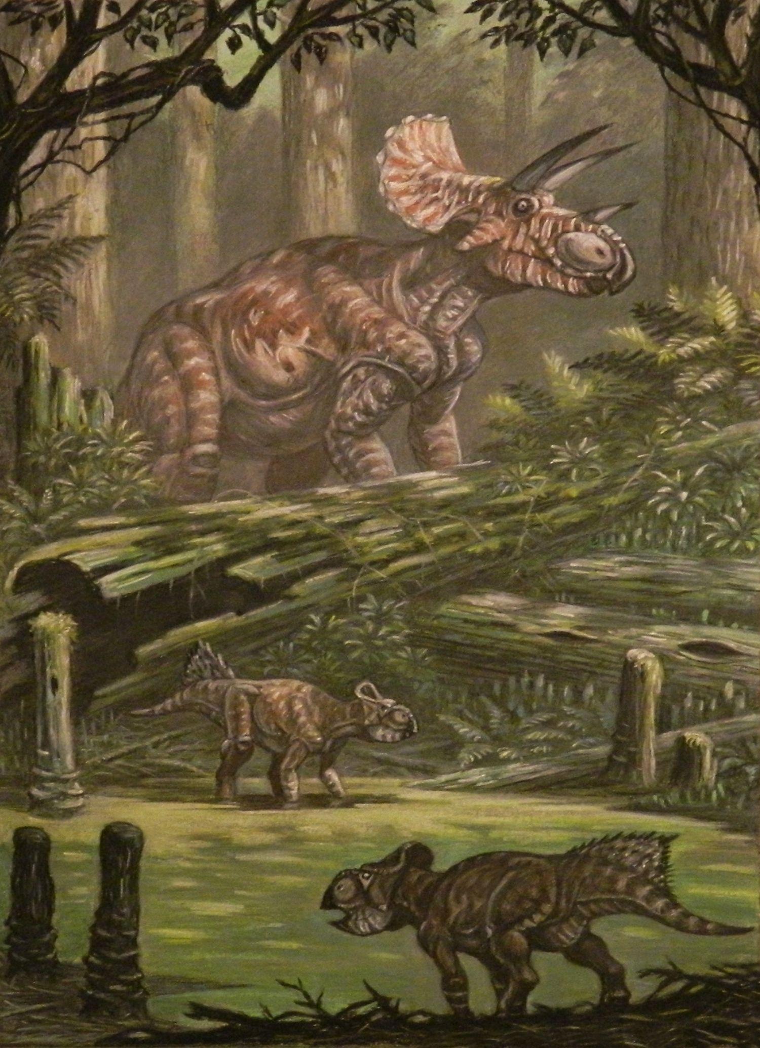 1500x2070 Wallpaper Dinosaurs Triceratops horribus, Leptoceratops gracilis