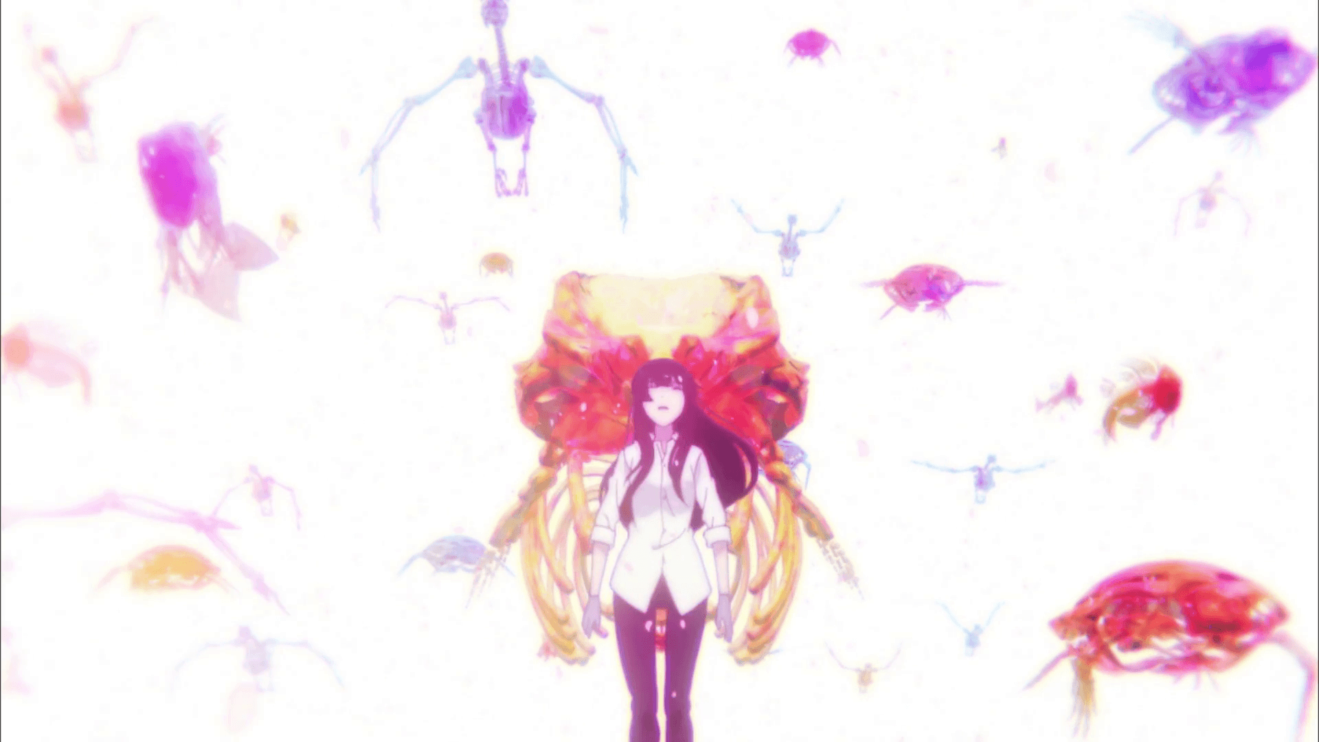 1920x1080 beautiful bones
