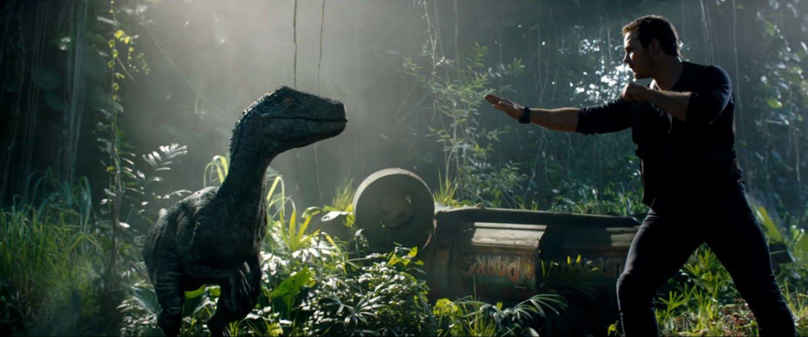 1600x668 Jurassic Park HD Stills Wallpaper