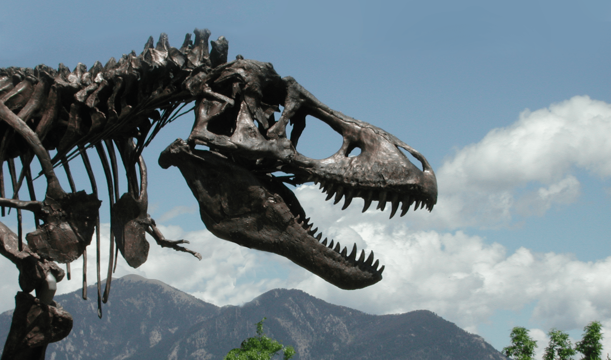2048x1208 T. rex to rule Dinosaur Hall in Washington, D.C