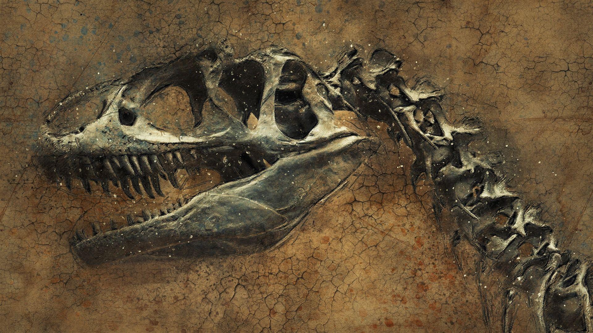 1920x1080 Dinosaurs May Be to Blame for Human Sunburns