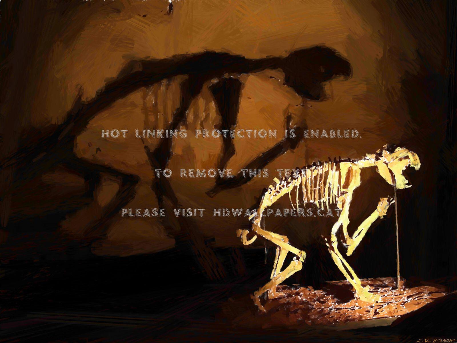 Dinosaur Skeleton Wallpapers - Top Free Dinosaur Skeleton Backgrounds