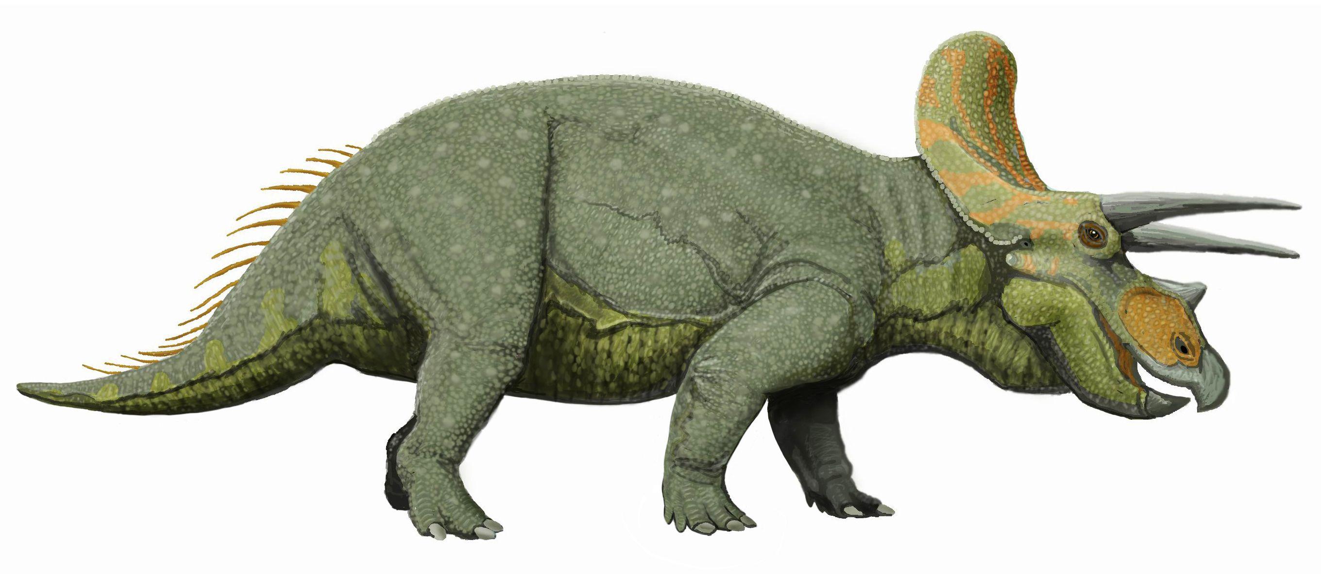 2720x1183 Triceratops (image in Collection)
