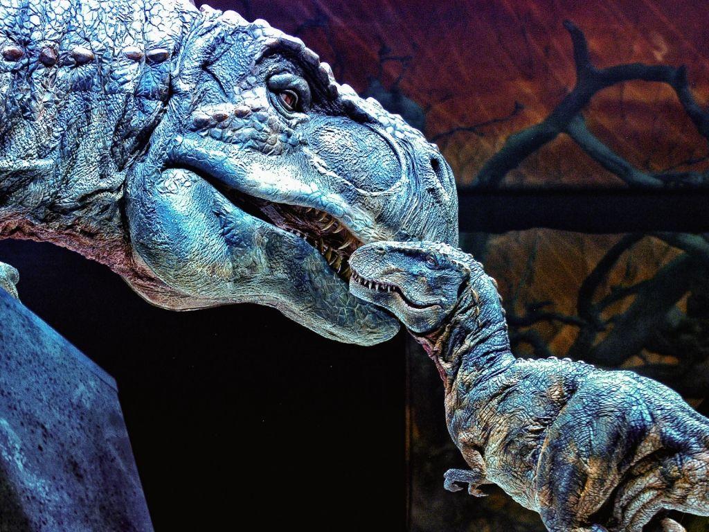 1024x768 Wonderful 3D HD WallpaperD Digital Art. Dinosaur