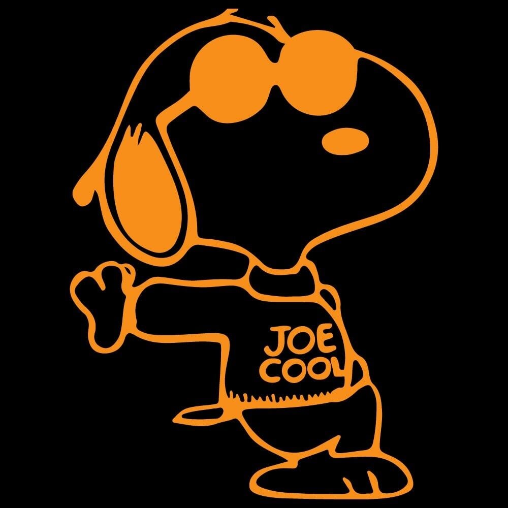 Joe Cool Wallpapers - Top Free Joe Cool Backgrounds - WallpaperAccess