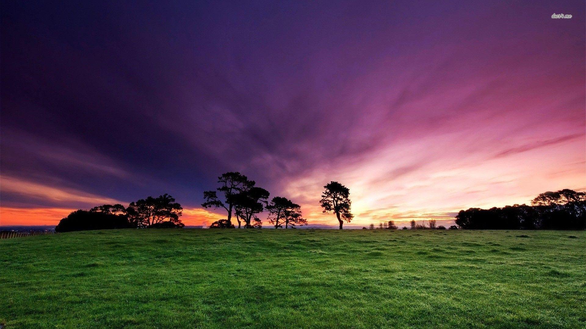 Purple Sunrise Wallpapers - Top Free Purple Sunrise Backgrounds