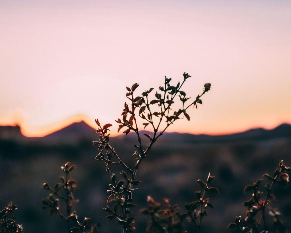 1000x800 Arizona Sunset Picture. Download Free Image