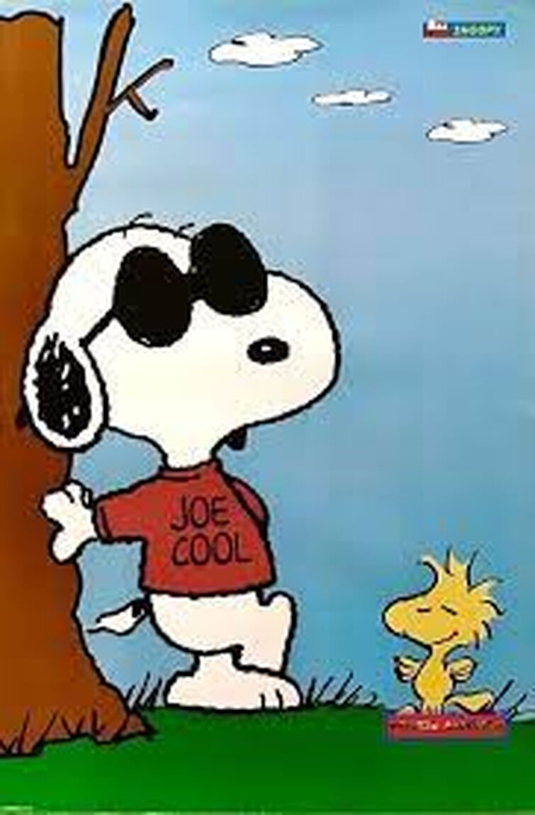 Joe cool wallpapers top free joe cool backgrounds wallpaperaccess
