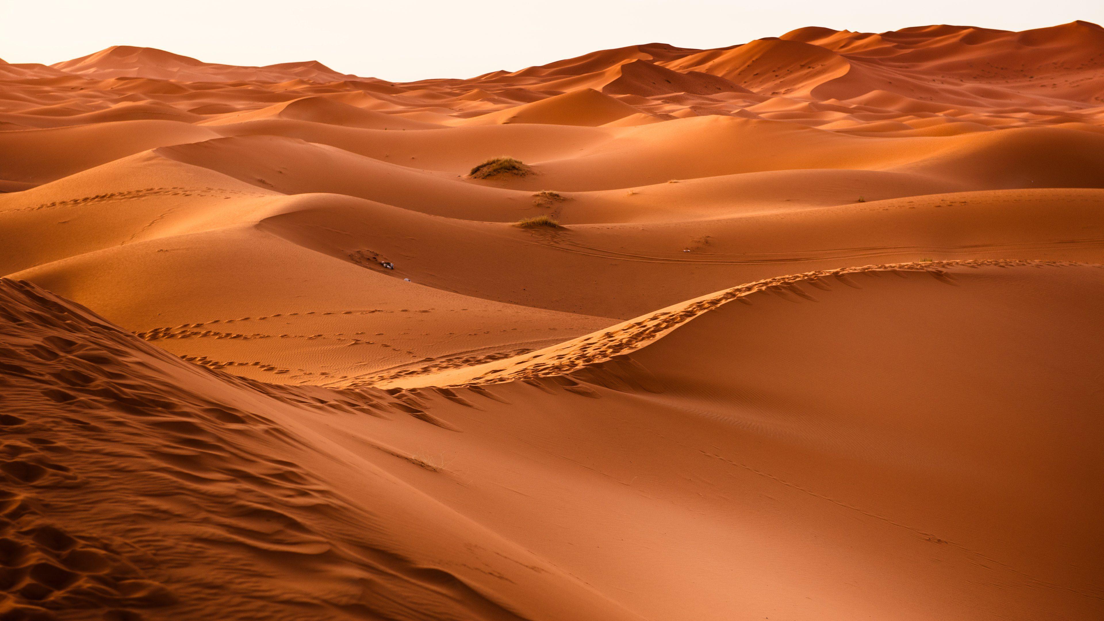 Desert Sand Wallpapers Top Free Desert Sand Backgrounds Wallpaperaccess