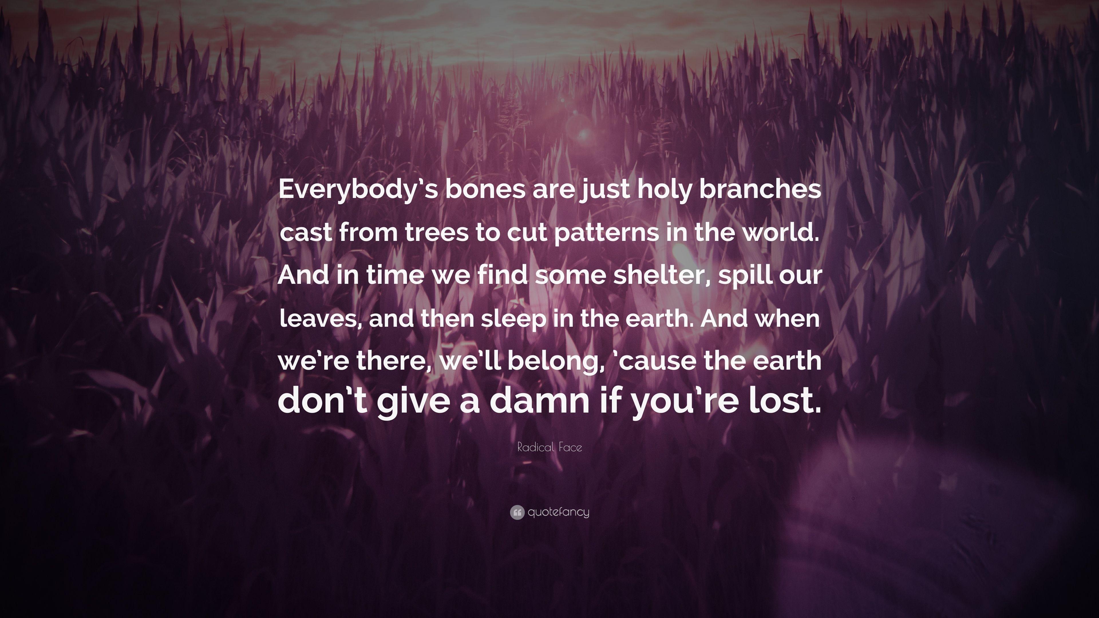 3840x2160 Radical Face Quote: “Everybody's bones are just holy branches cast