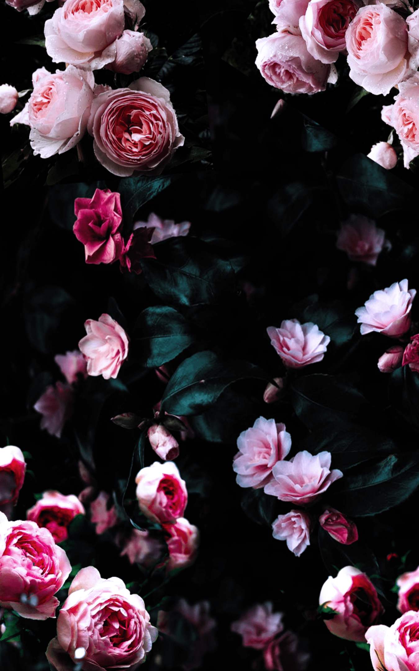 Dark Floral Wallpapers - Top Free Dark Floral Backgrounds - Wallpaperaccess