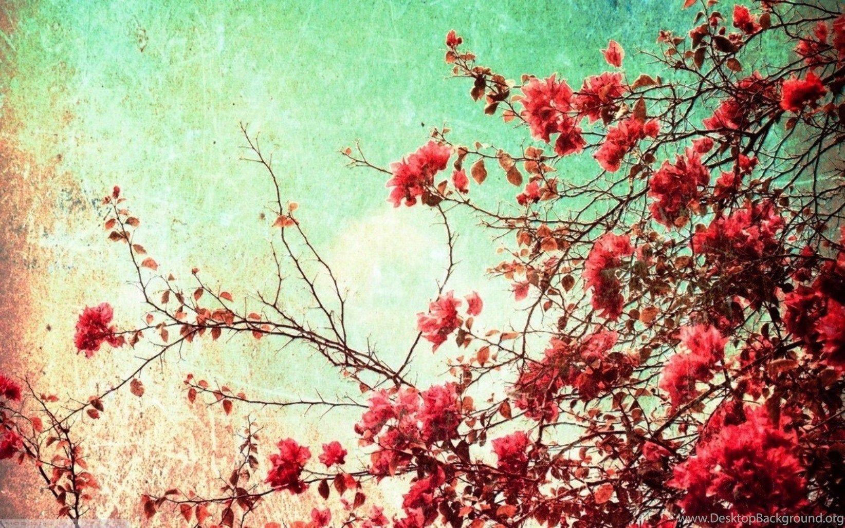 1644x1028 Hipster Flower Wallpaper Tumblr