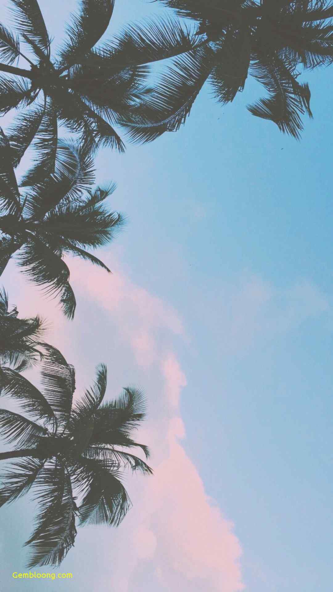 cool phone backgrounds tumblr
