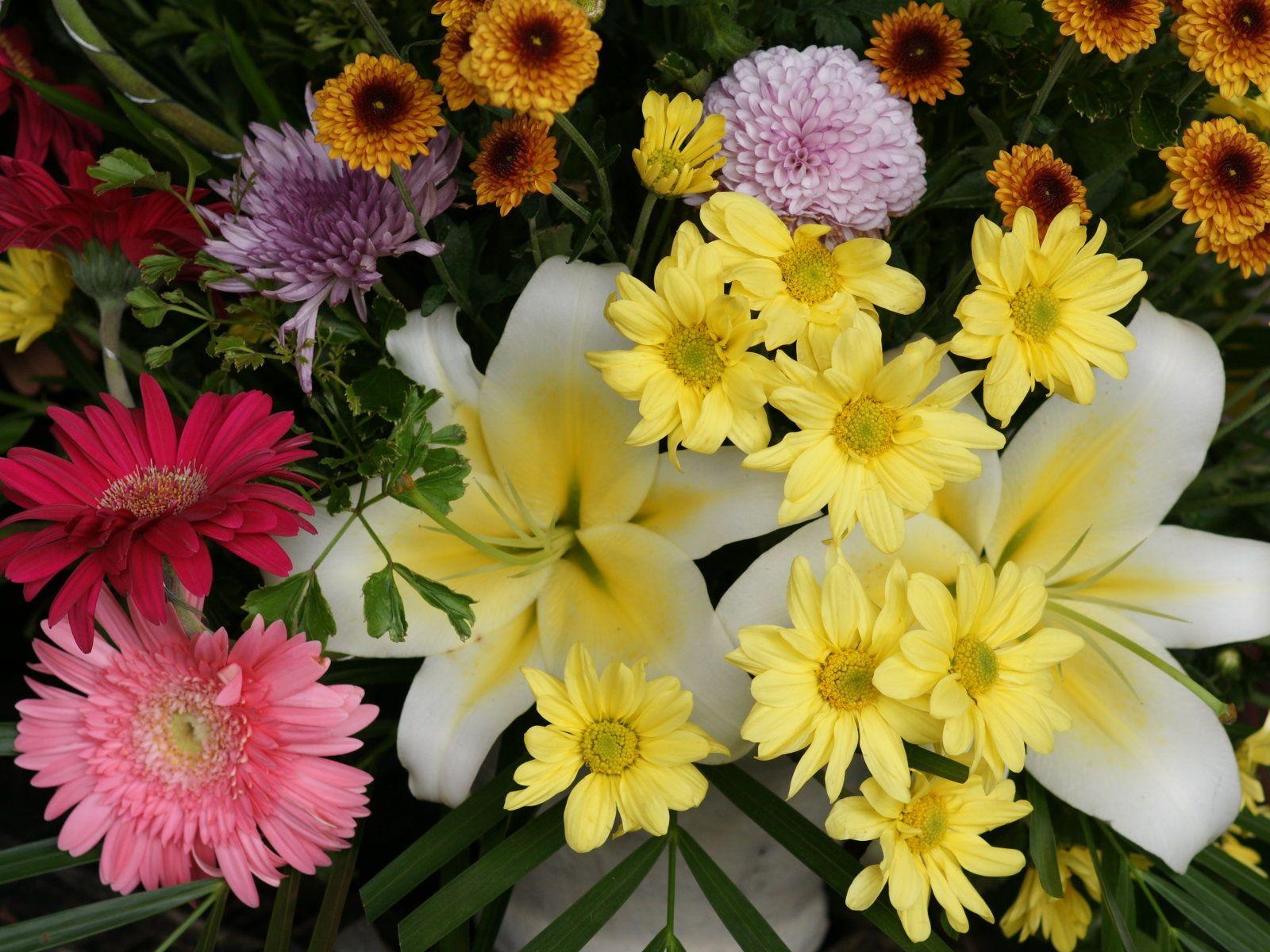 1600x1200 Tumblr Flower Wallpaper Group 1600x1200