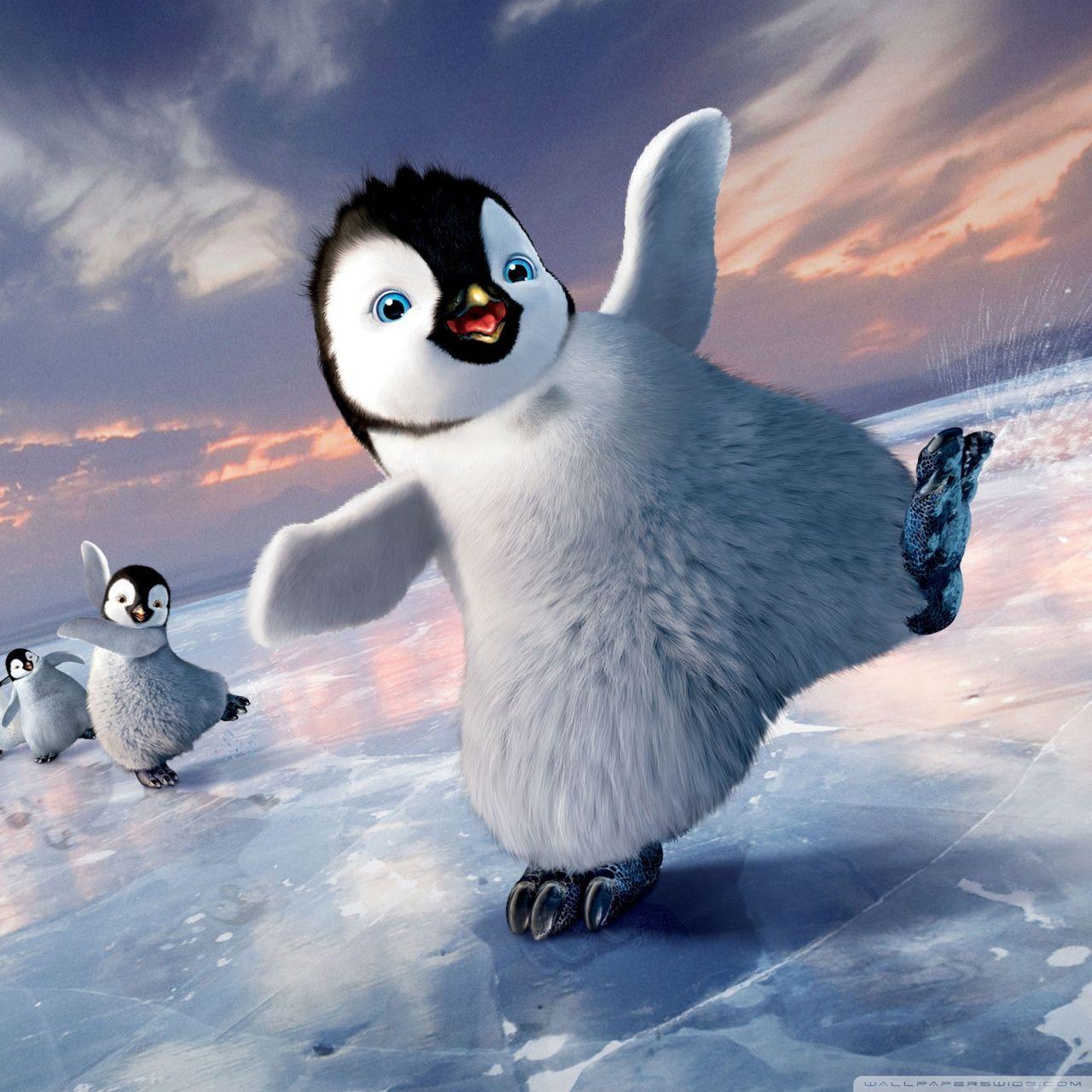 1280x1280 Baby Penguin Wallpaper