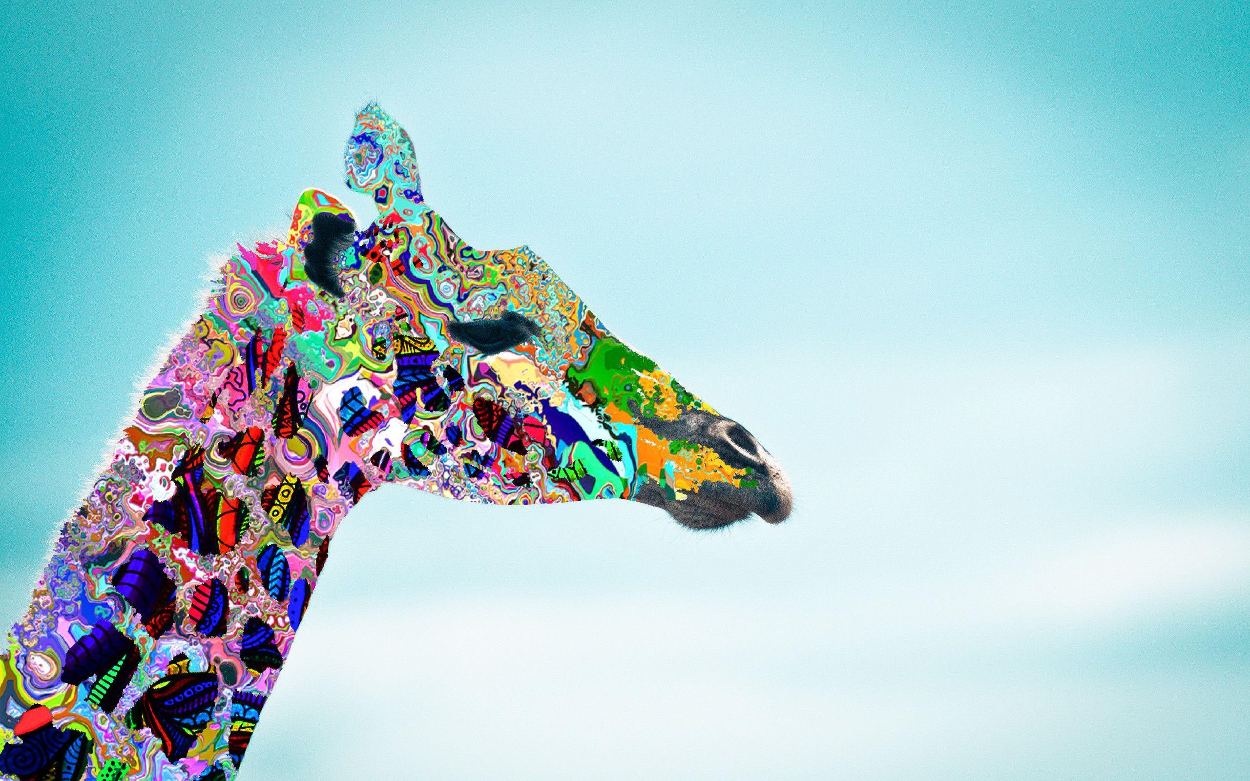 2560x1600 Giraffe Wallpaper background picture