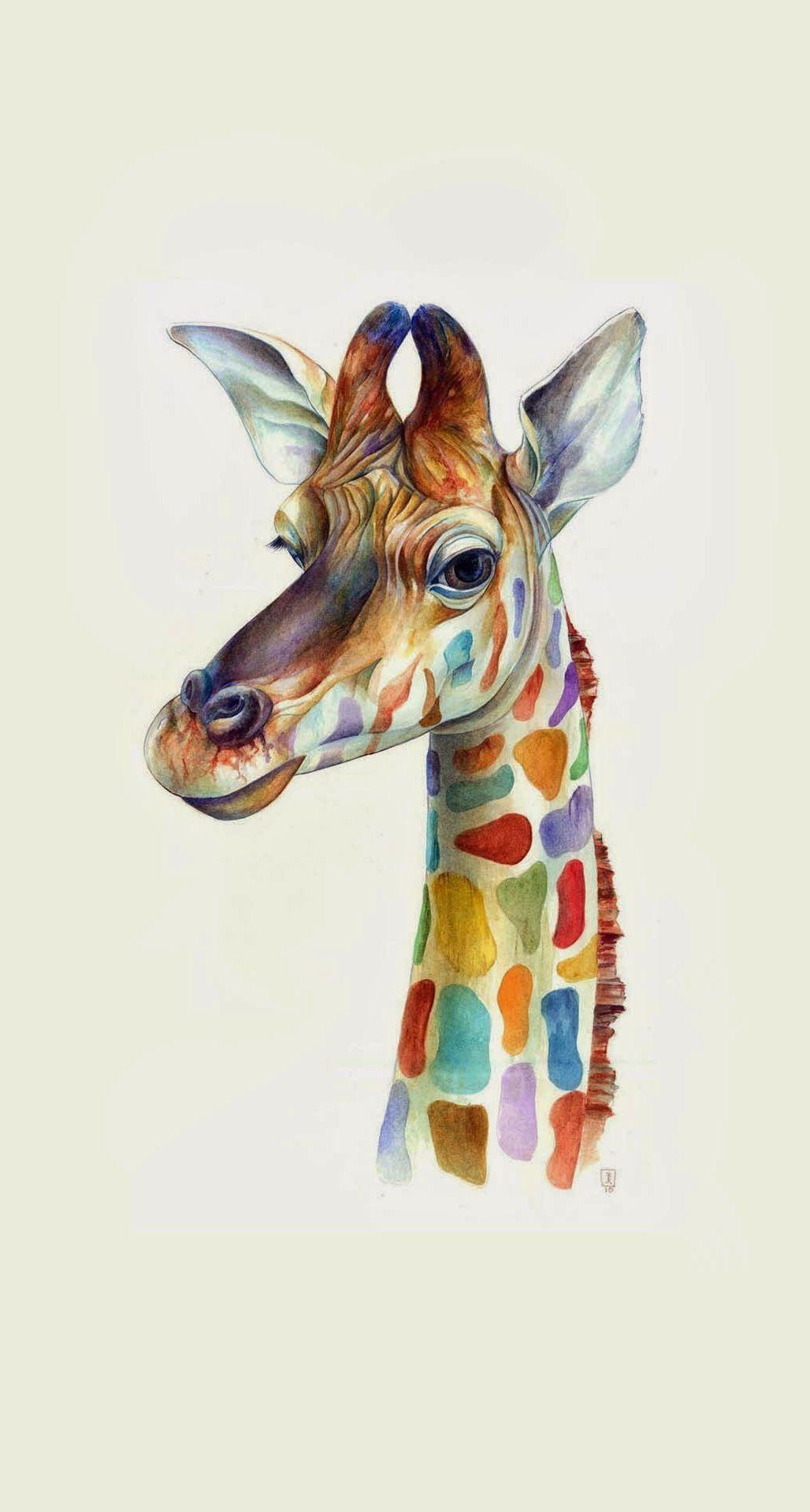 1028x1920 Cute Animals iPhone Wallpaper You Would Love to Download