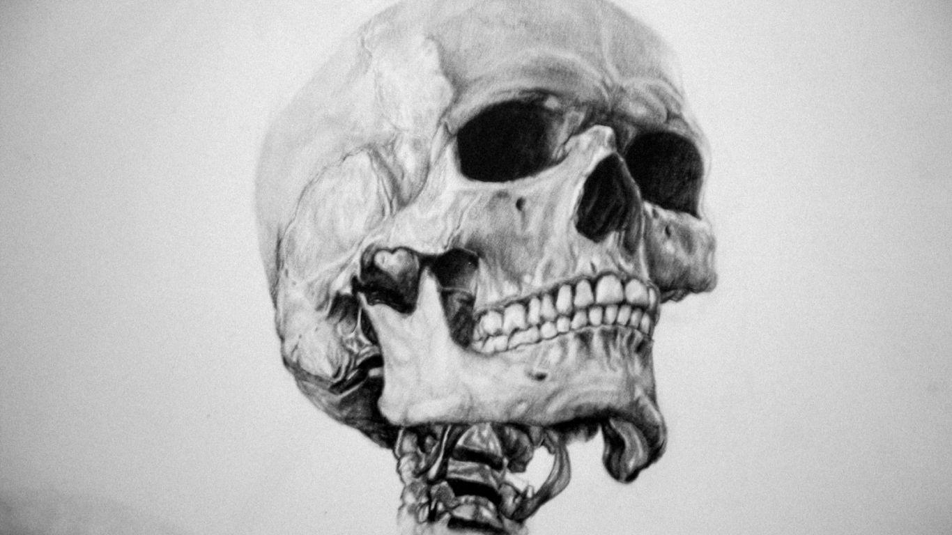 1366x768 Free download Skull Wallpaper Skull Art Wallpaper Skull