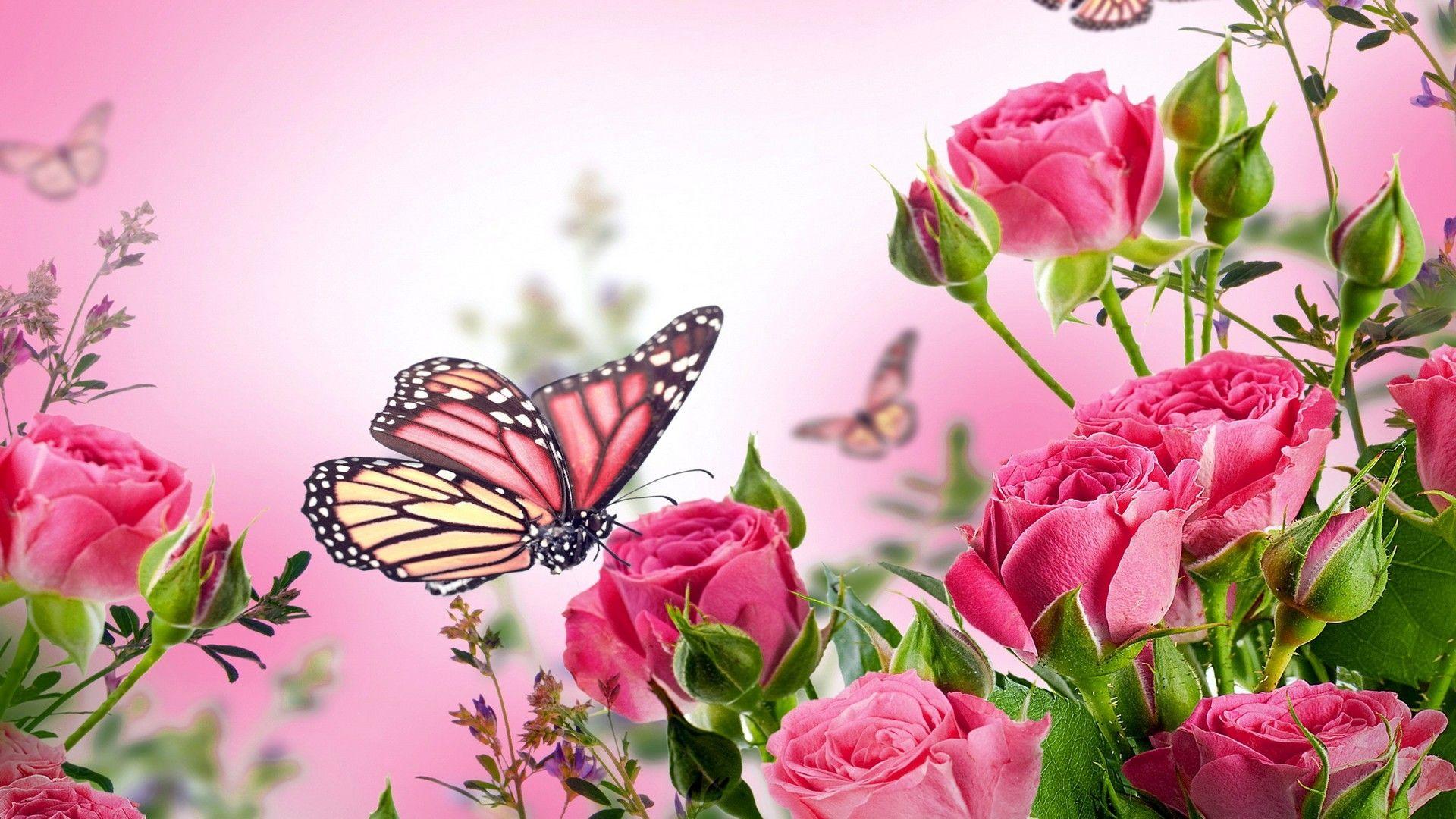 Flowers and Butterflies Wallpapers - Top Free Flowers and Butterflies  Backgrounds - WallpaperAccess