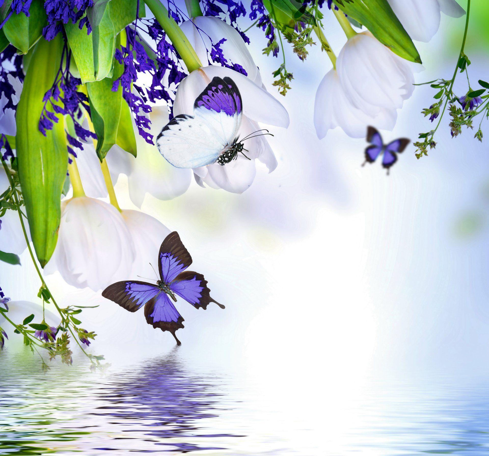 1920x1792 File mob. Flowers and butterflies, background v.2.9 jpeg