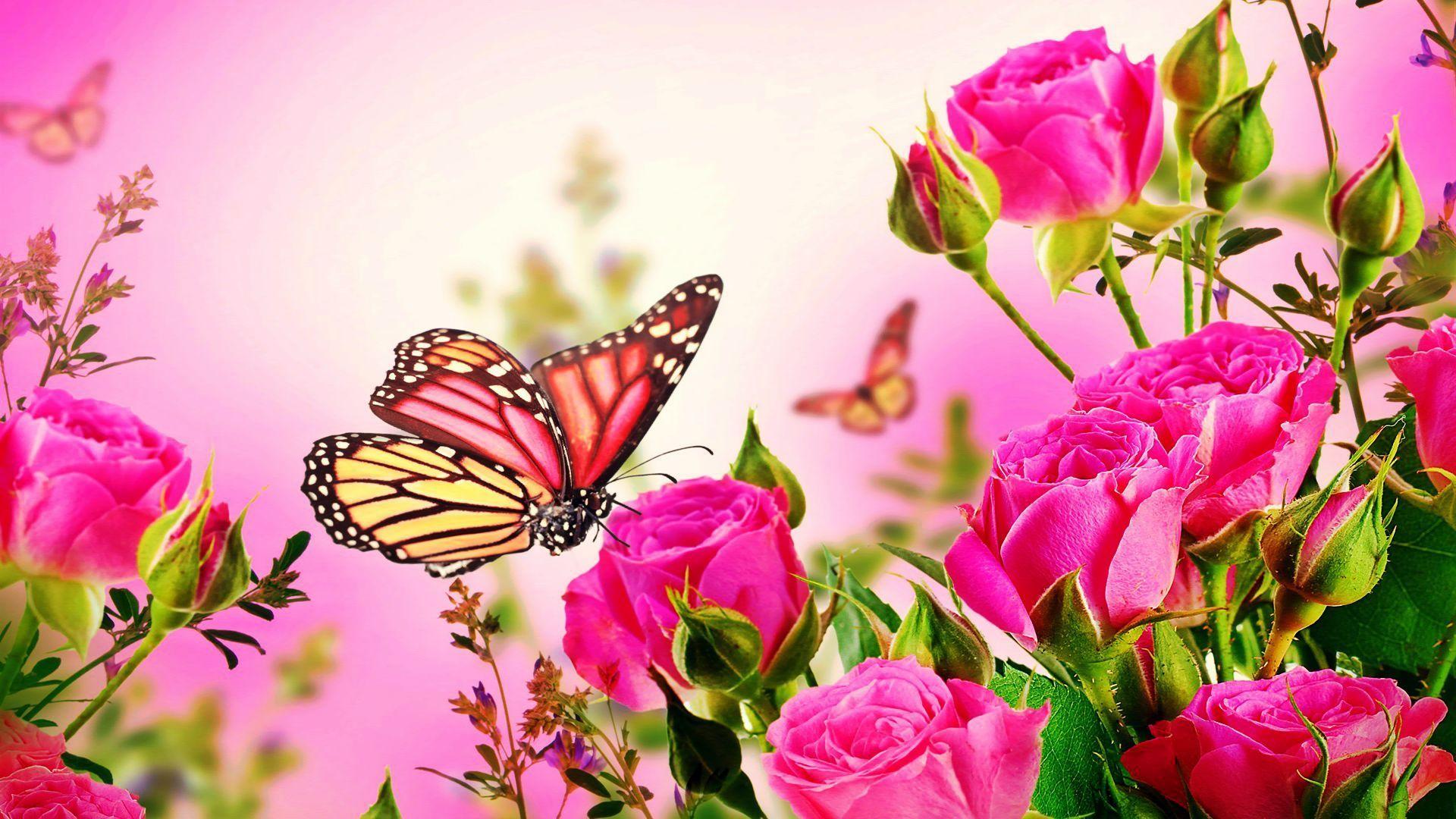 1920x1080 pink flowers and butterflies wallpaper