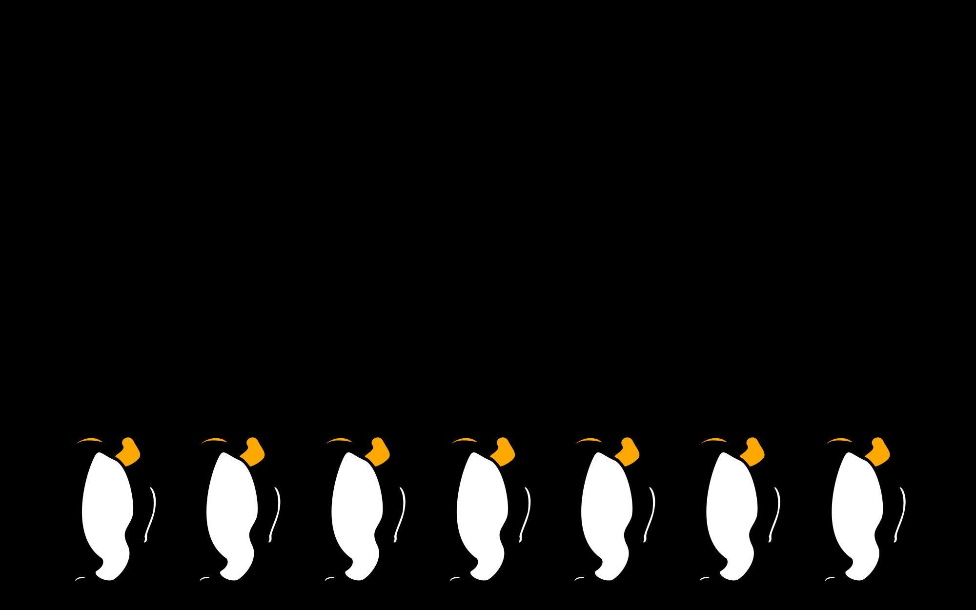 2000x1250 Christmas Penguin Wallpaper