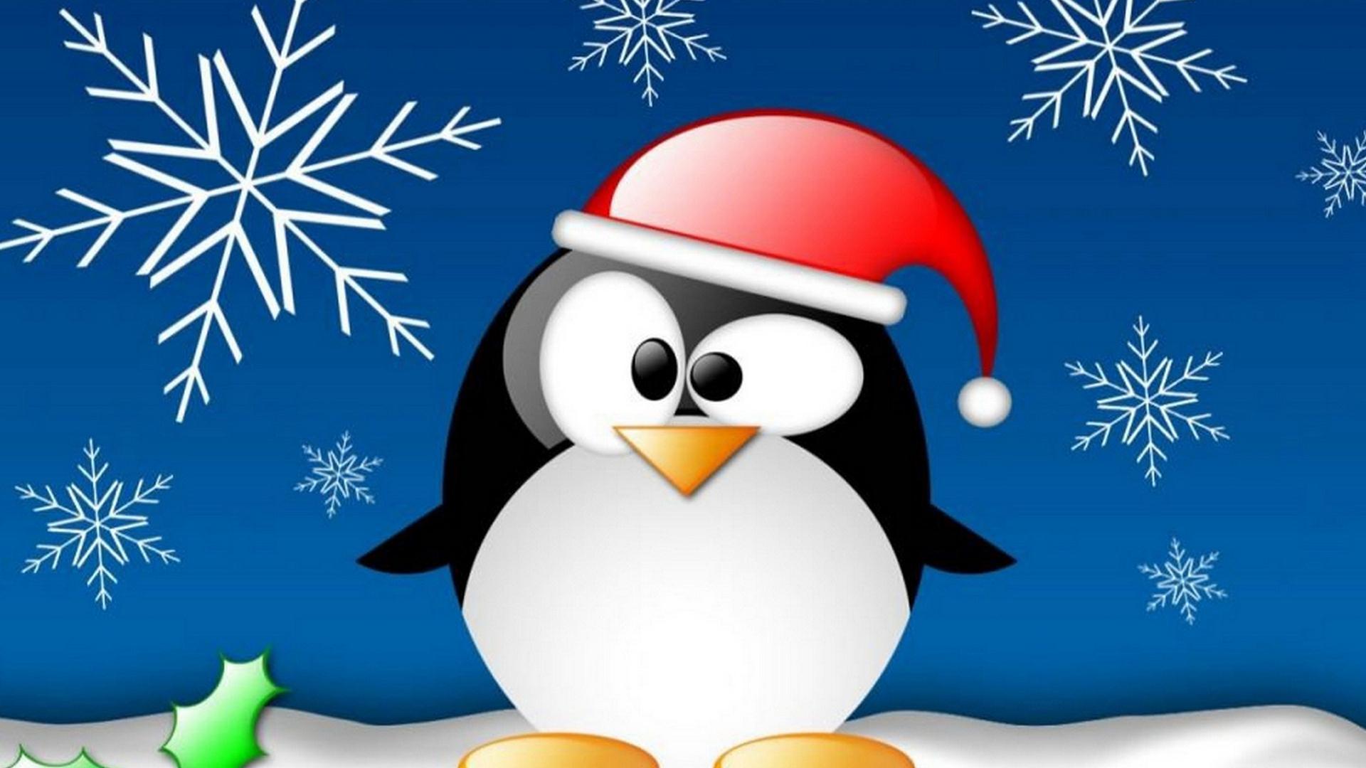 Cartoon Penguin Wallpapers - Top Free Cartoon Penguin Backgrounds